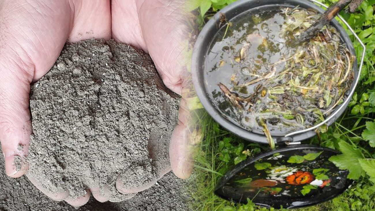 Городники розповіли універсальне підживлення для всього городу 