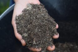 mulch-4827133_1280 