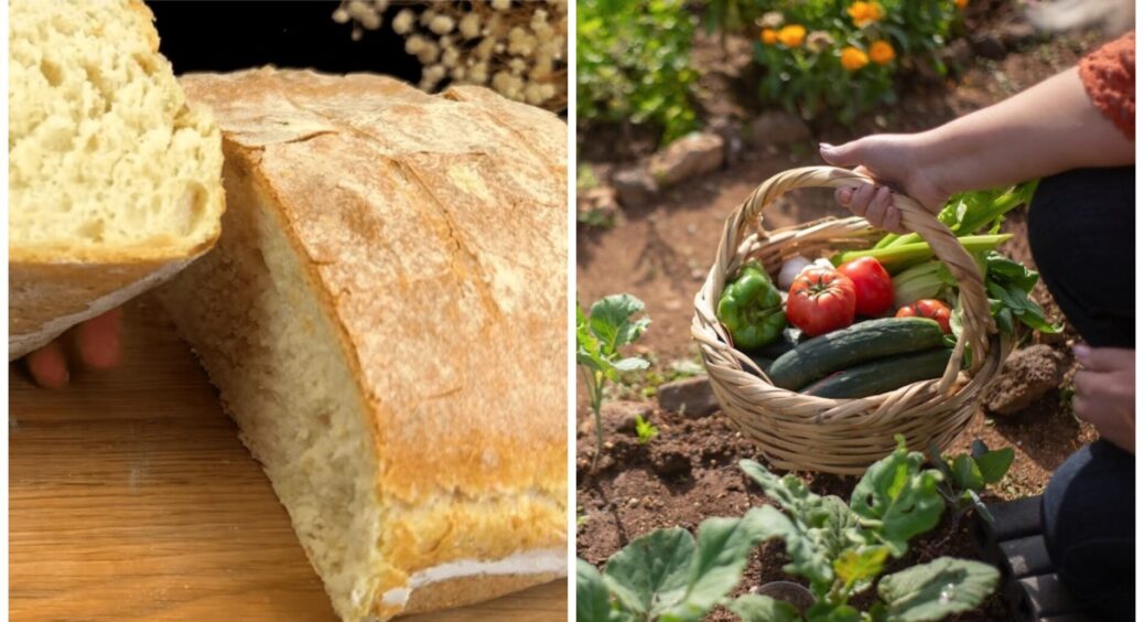 Залишки хліба не викидаю, але не тому, що мені шкода: 2 стакани – і грядки буяють! Хліб всьому голова 