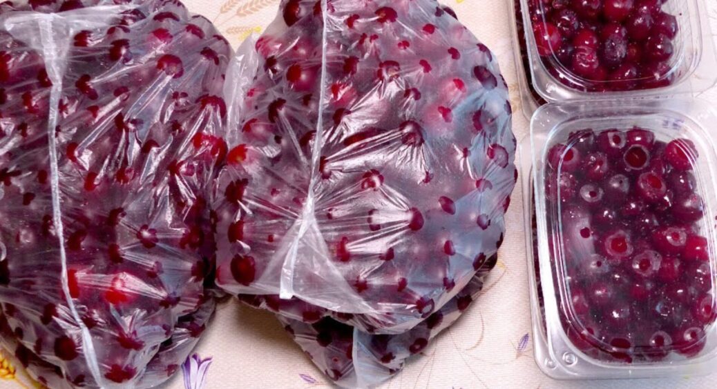 Всю зиму їм вишню з морозилки, а вона як свіжа: 3 правила, щоб після заморозки фрукт не втратив смак і колір 