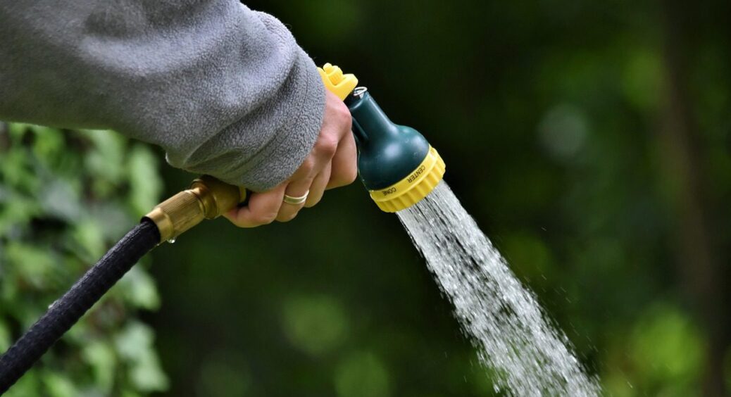 Календар поливу в липні 2025 року: коли й що поливати, щоб не зіпсувати коріння рослин та квітів 