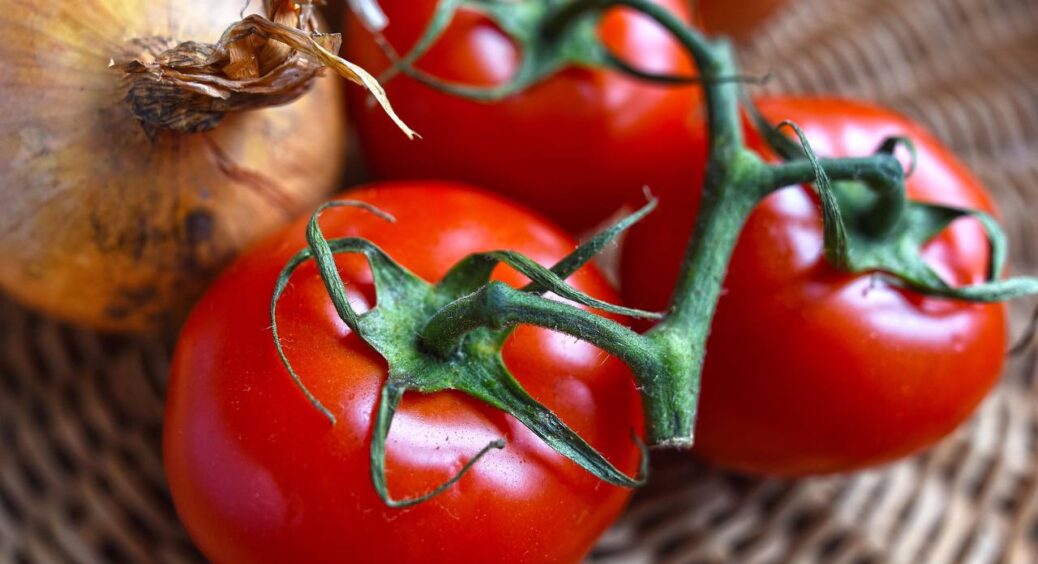 При перших квіточках на помідорах – обов’язково: 5 крапель у 10 л води – і готуйте КАМАЗ для врожаю 