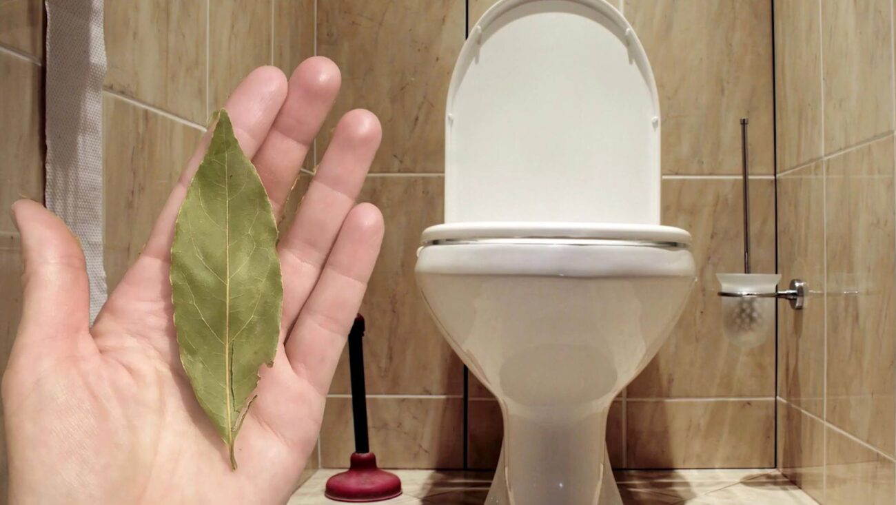 Досвідчені покоївки розповіли, навіщо класти лавровий лист в унітаз