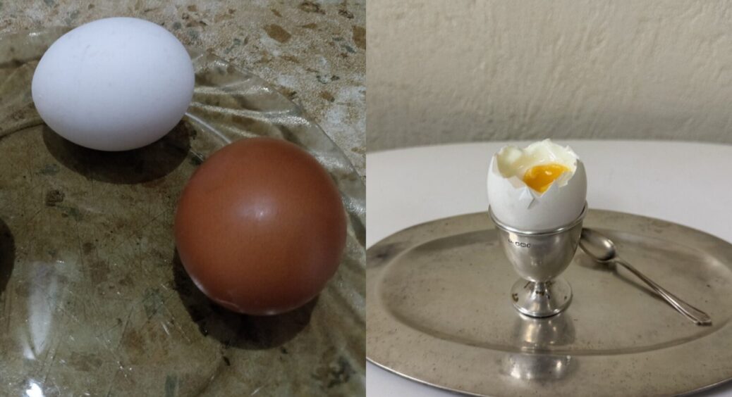 Не смажу яйця, а заливаю їх окропом: рецепт з книги “Про смачну та здорову їжу” за 1953 рік – 10 хв і готово 