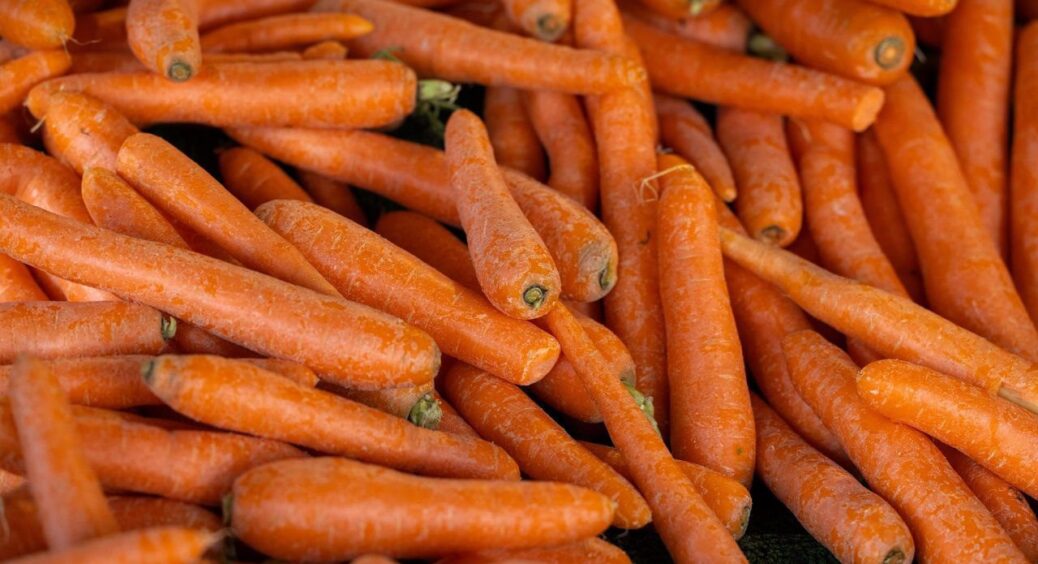 А має бути солодко: підслухала в черзі на базарі, чому гірчить морква і як з цим бути – мені відкрили очі 