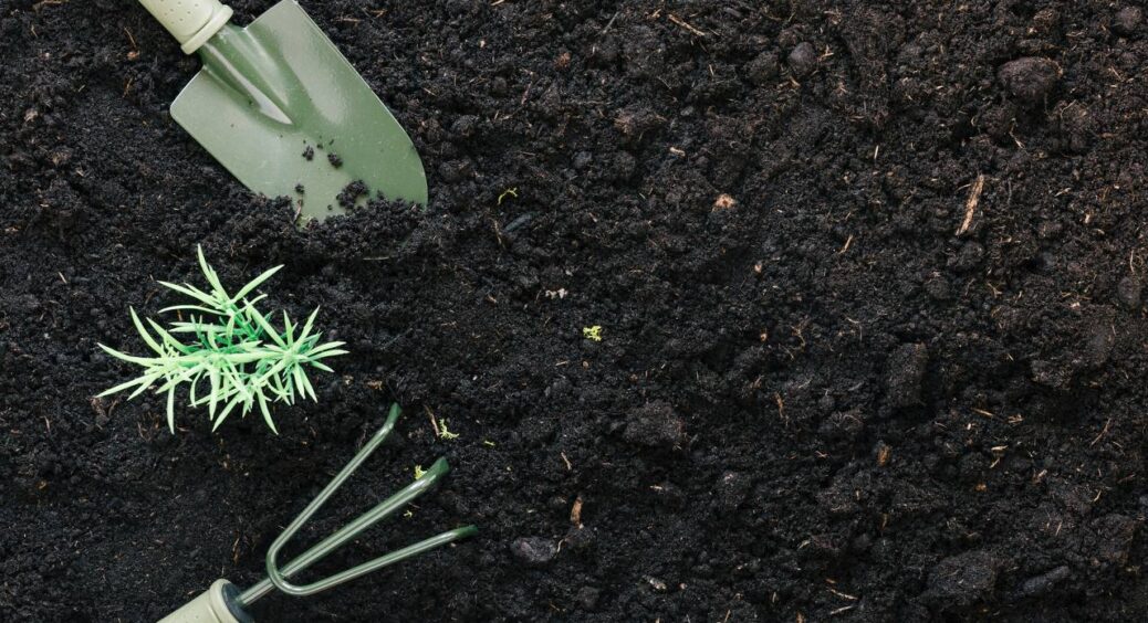 Мама-агроном дала цінну пораду: ось як зберегти вологу в грядках до осені – простий прийом без витрат 