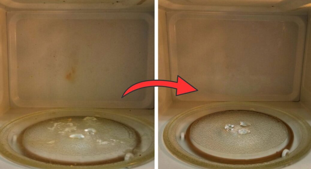 Свекруха на весіллі замість вітань розповіла, як мити мікрохвильовку: за 5 хв стає чистіша, ніж у магазині 