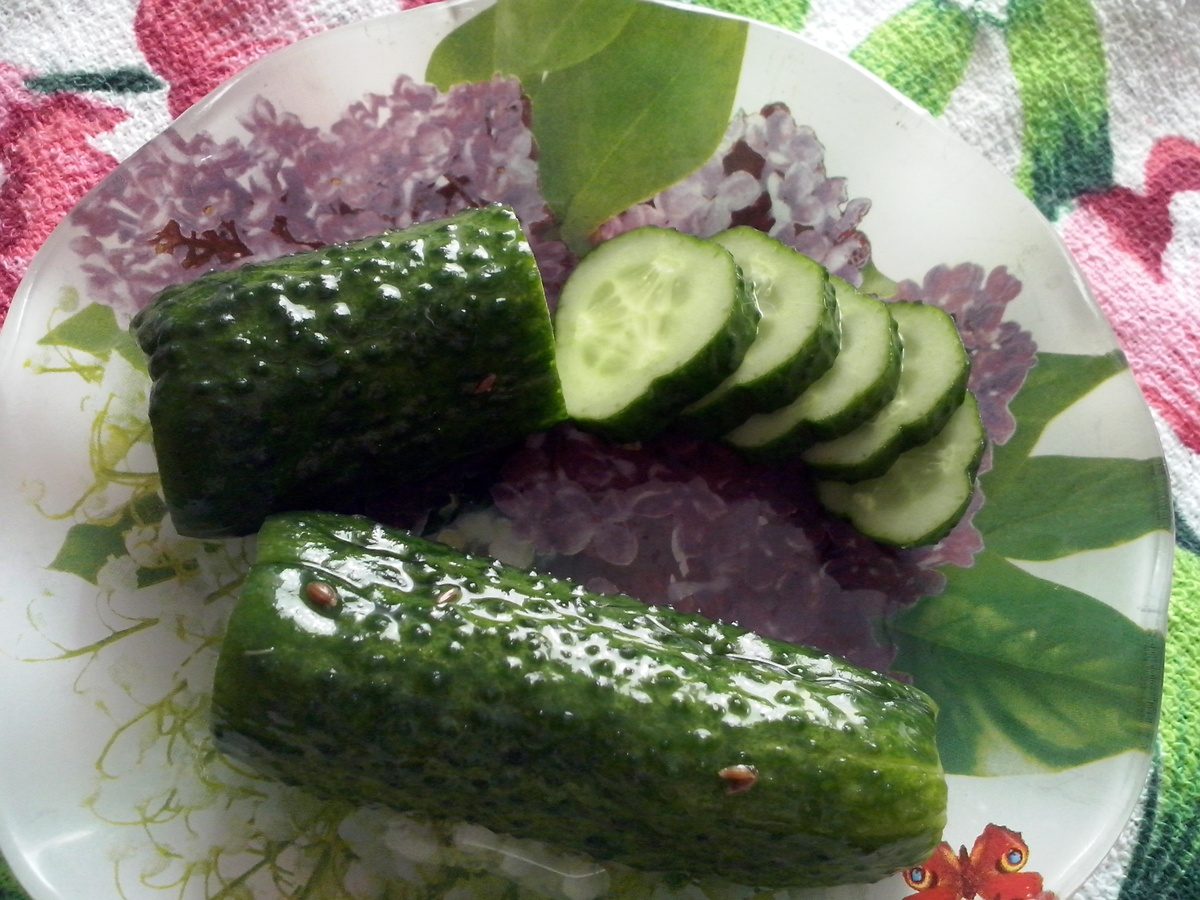 Городники назвали найкращий сорт огірків, які можна саджати у серпні 