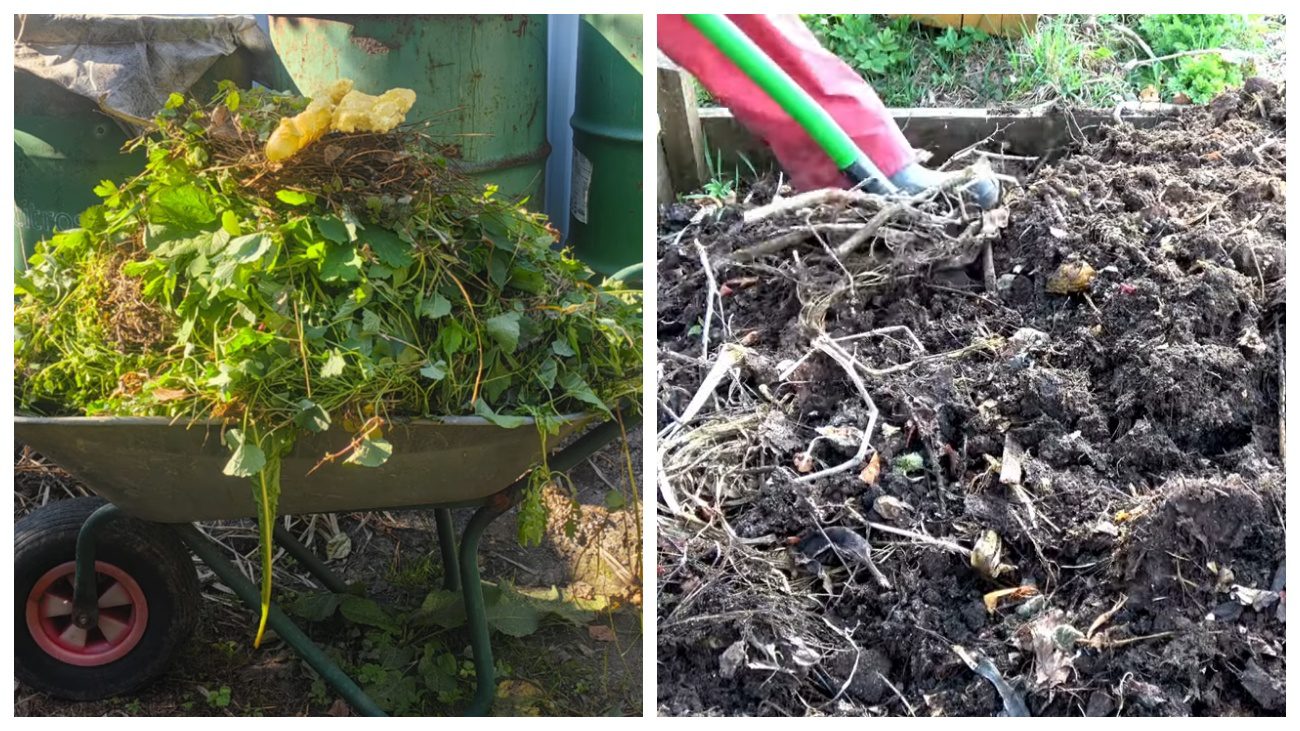 Садівники розповіли, як приготувати поживний компост за рік