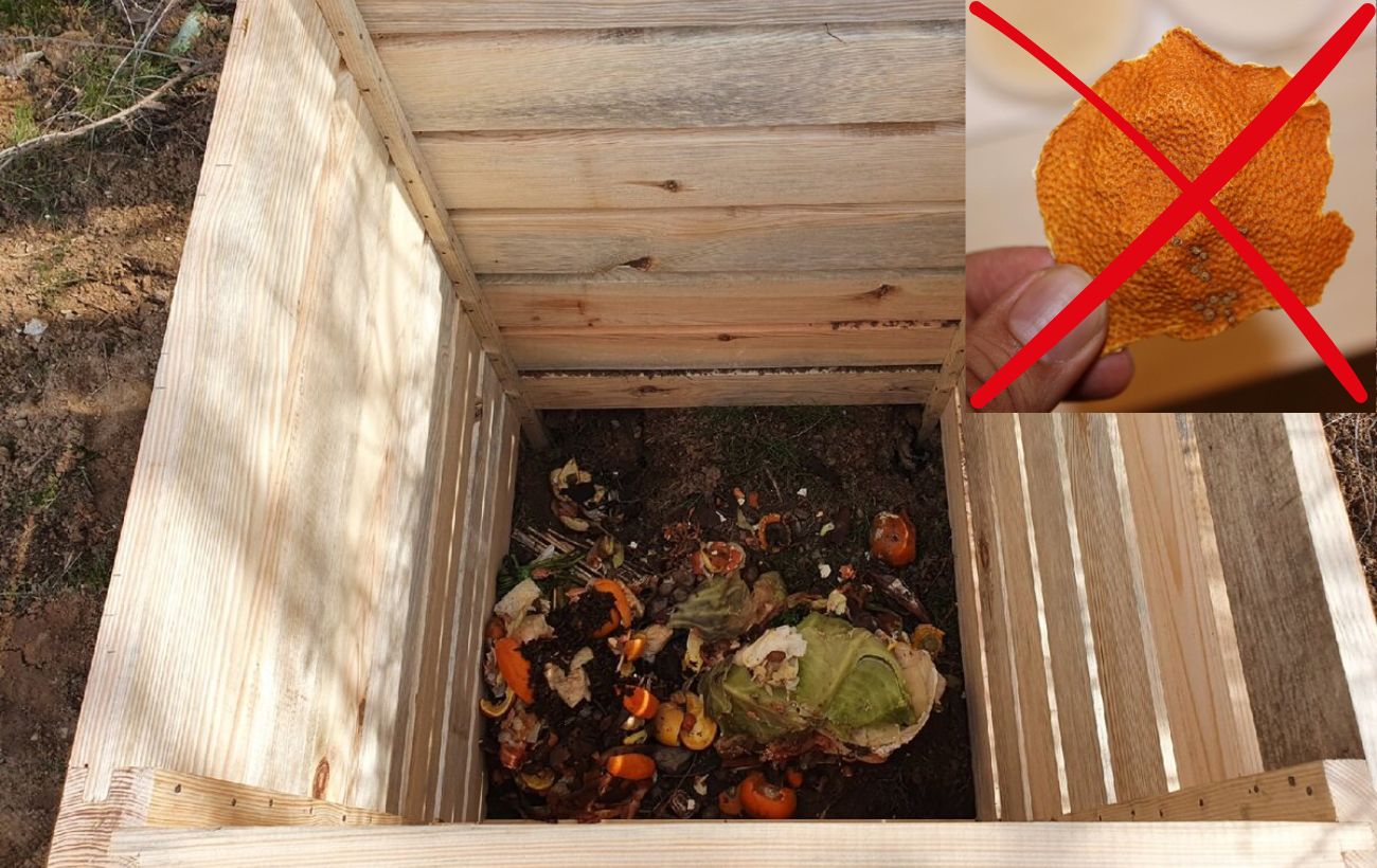 Які компоненти не можна додавати в компост