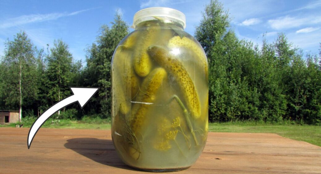 Пробувала різні рецепти солоних огірків, але цей – найкращий: 6 інгредієнтів і 15 хв, а смак на 10 з 10 