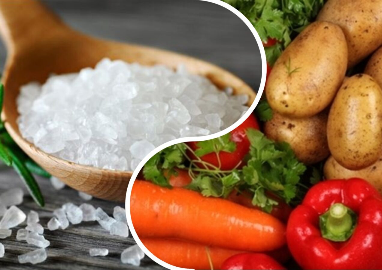 Городники розповіли про способи використання солі для підживлення рослин