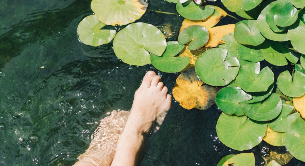 Зробили з чоловіком на дачі ставок – і не прогадали. Ділюсь досвідом: від чистої води до ручних рибок 