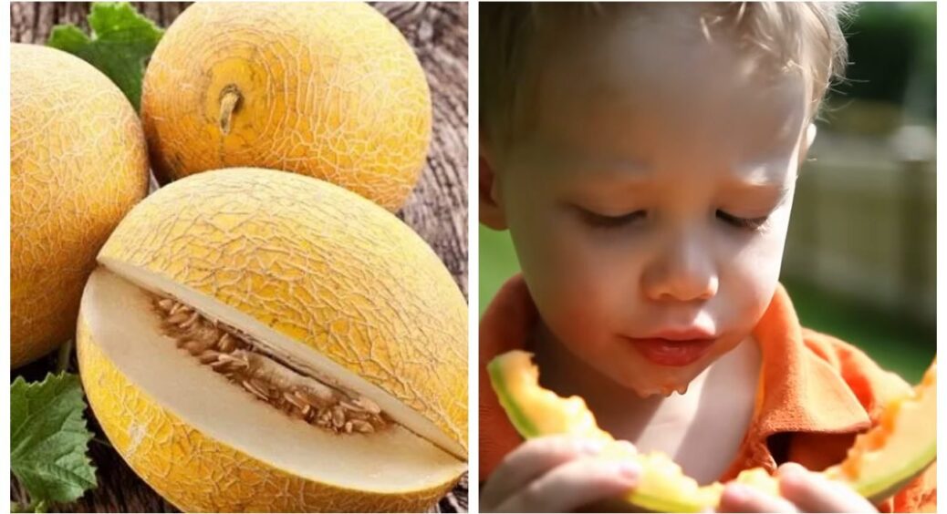 Вирощую їх вже 10 років і знаю все про їхні вподобання: записуйте, якщо не хочете ріпу замість солодких динь 