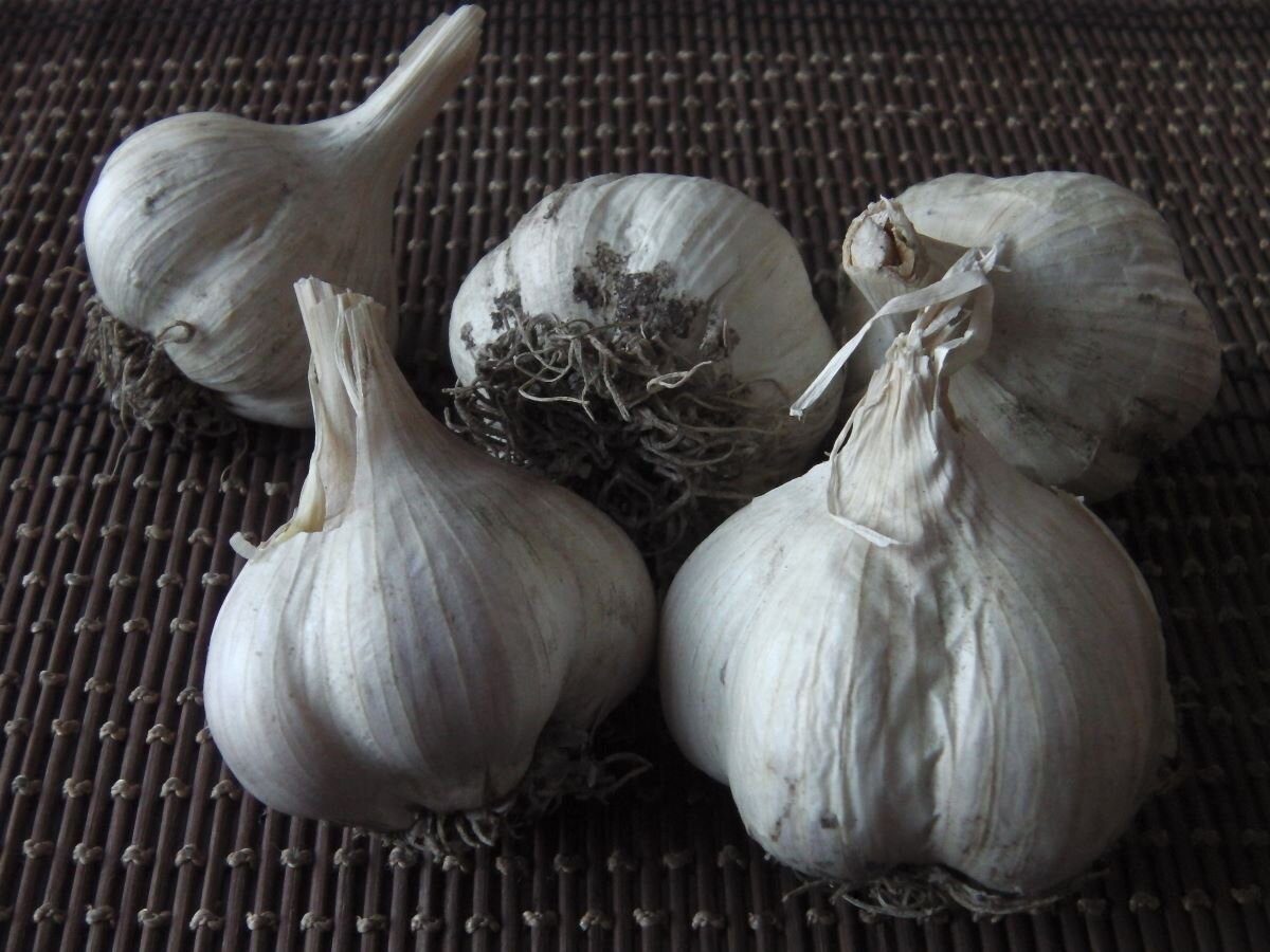 Експерти розповіли, як правильно зберігати часник, аби він не псувався протягом довгого періоду