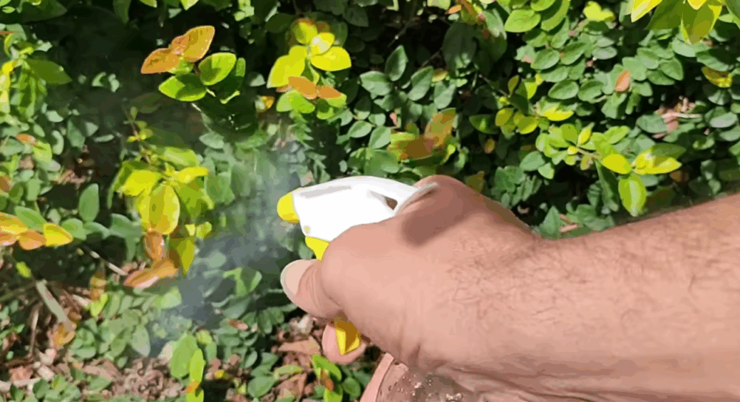 100 мл на 2 сотки і 6 літрів води – бур’яни зникають назавжди: концентратом поливати заборонено 