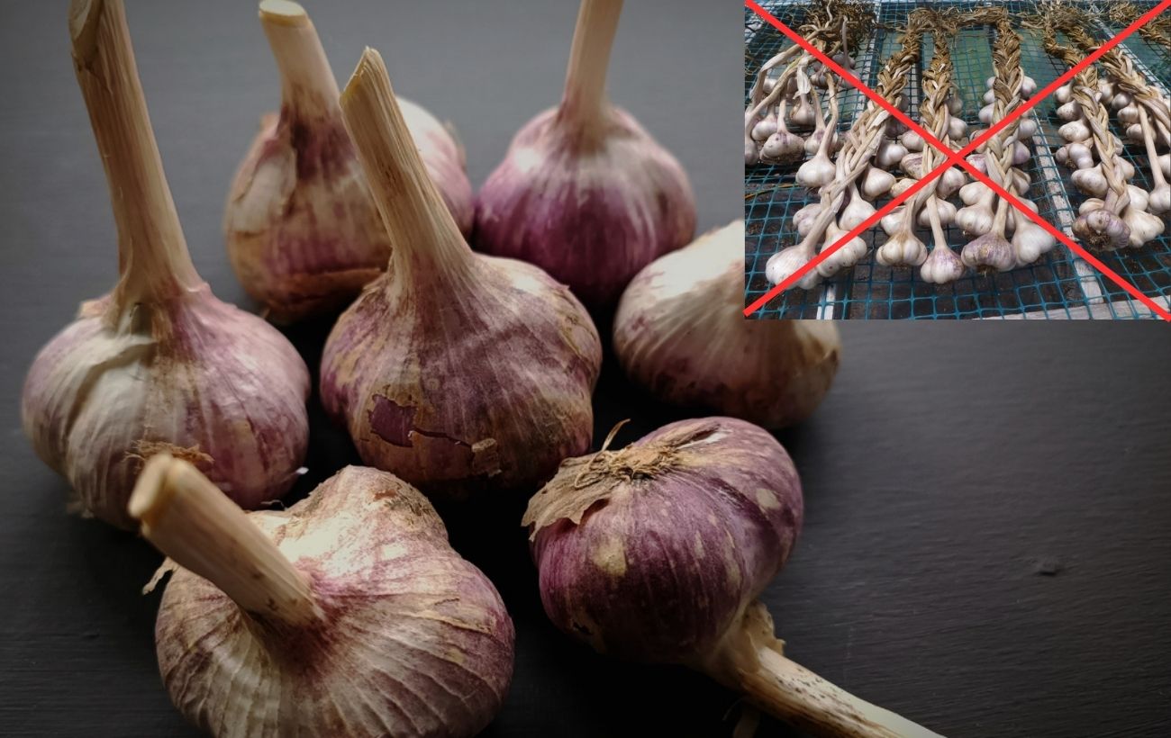 Як правильно зберігати часник