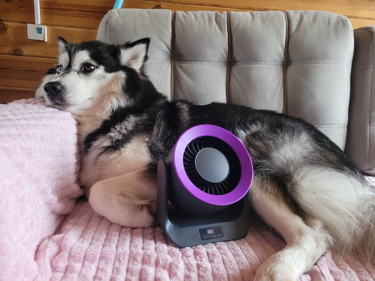 Експерти розповіли, що можна зробити з вентилятором для посилення ефекту охолодження