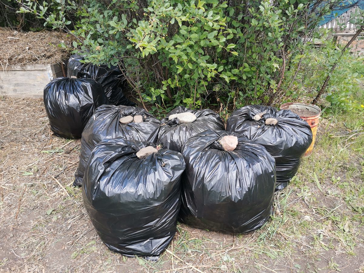 Городникам розповіли, як можна компостувати в мішках і чим спосіб відрізняється від класичного