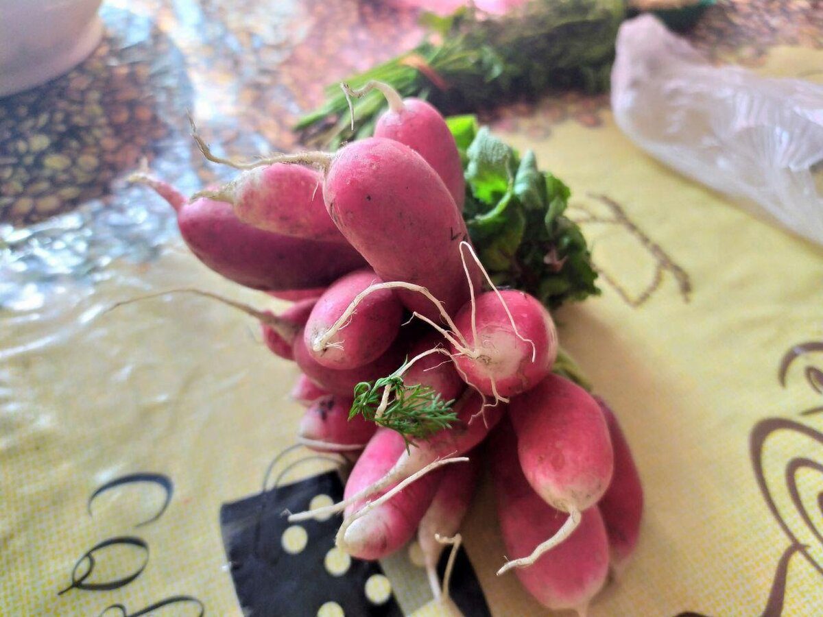 Експерти розповіли, яку редиску можна вирощувати у липні для отримання дуже смачного врожаю
