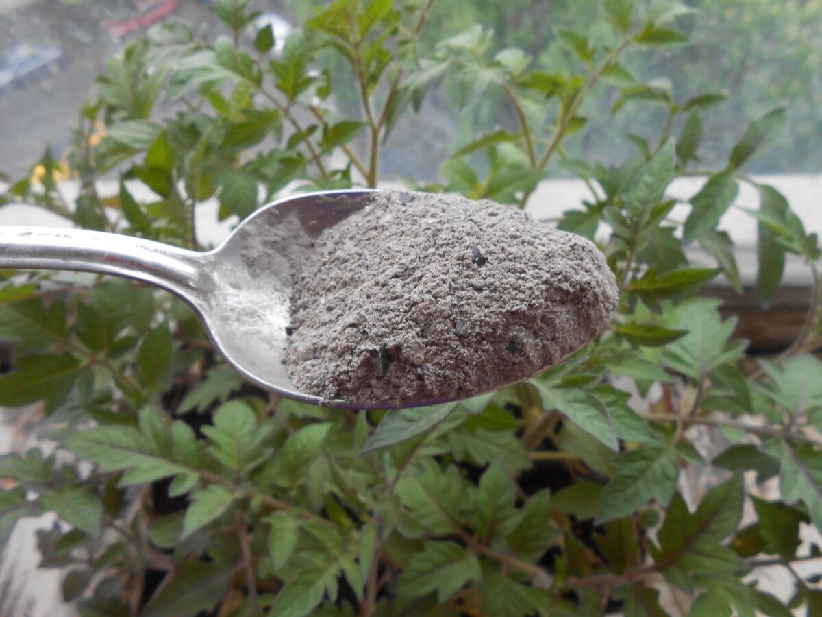 Городники розповіли, як використовувати деревну золу для якісного удобрення своєї ділянки