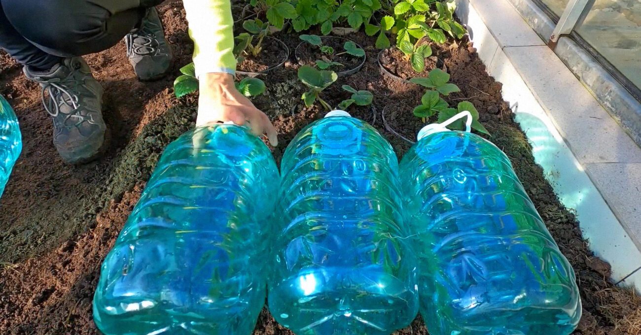 Городники показали, як використовувати пластикові пляшки