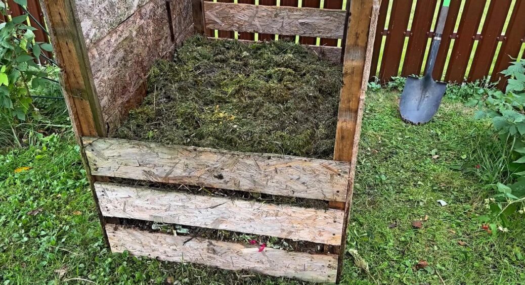 Чарівна суміш, що стала дійсно ідеальною заміною гною: 6 складників, які завжди знайдуться у господарстві 