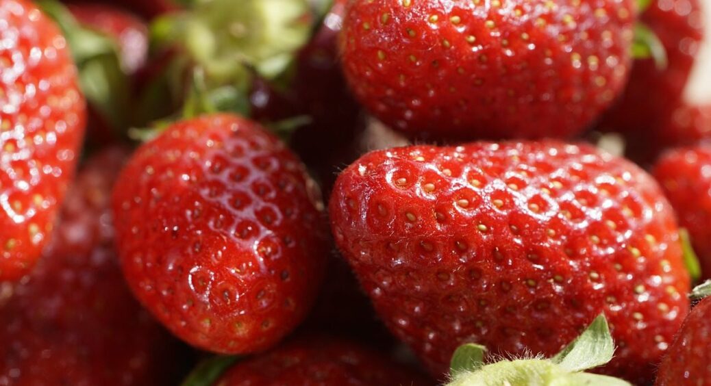 У серпні 2025 підживіть полуницю цим розчином – наступного року врожай буде вдвічі більший: сама перевіряла 