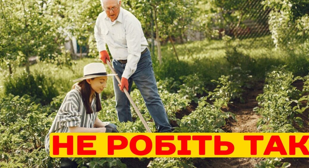Забула про рихлення грядок у липневу спеку: 2в1 – і землю сама “засушую”, і коріння ламаю. Не робіть так! 