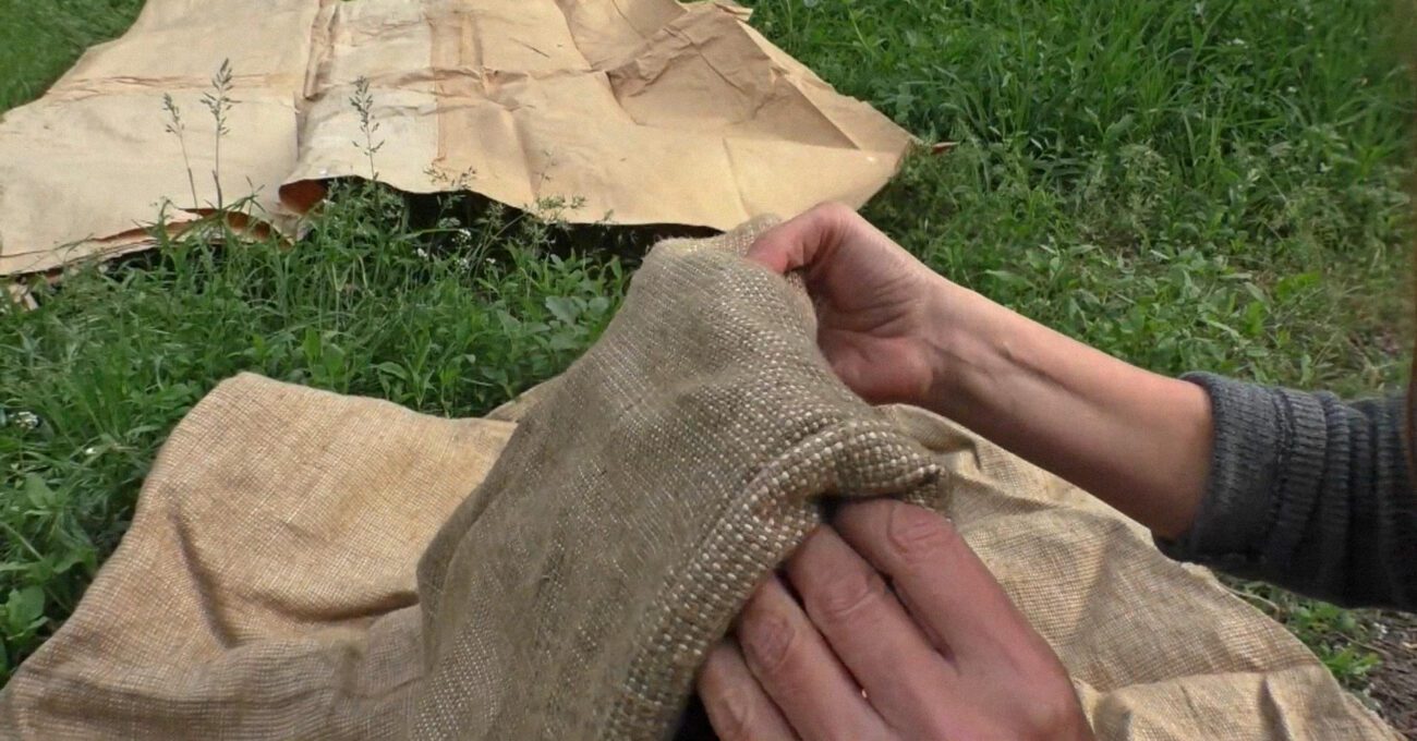 Фермери поділилися способом подвоїти врожайність городу