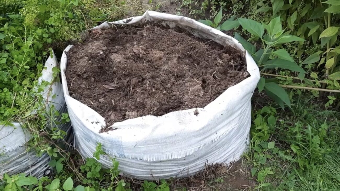 Городники розповіли, як встигнути до осені приготувати компост у мішках Городники розповіли, як встигнути до осені приготувати компост у мішках