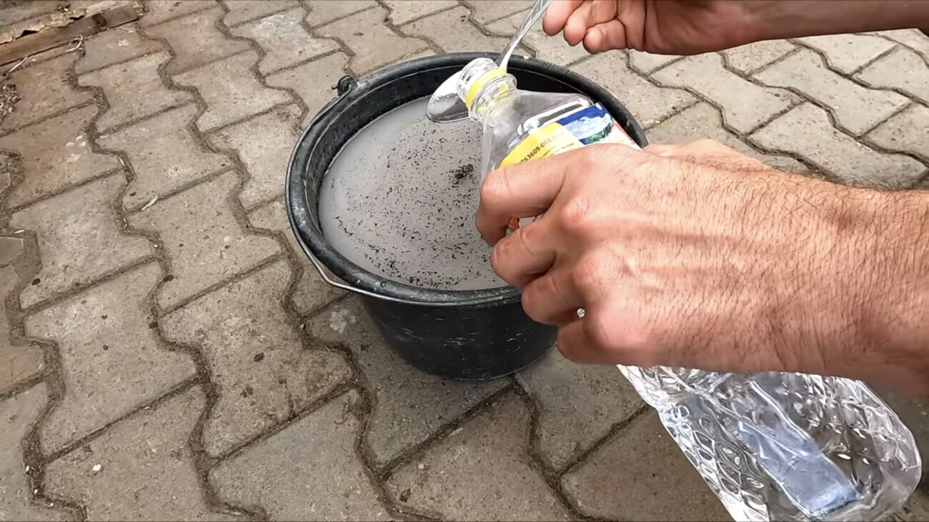 Городники розповіли, що додати в золу для підвищення ефективності Городники розповіли, що додати в золу для підвищення ефективності