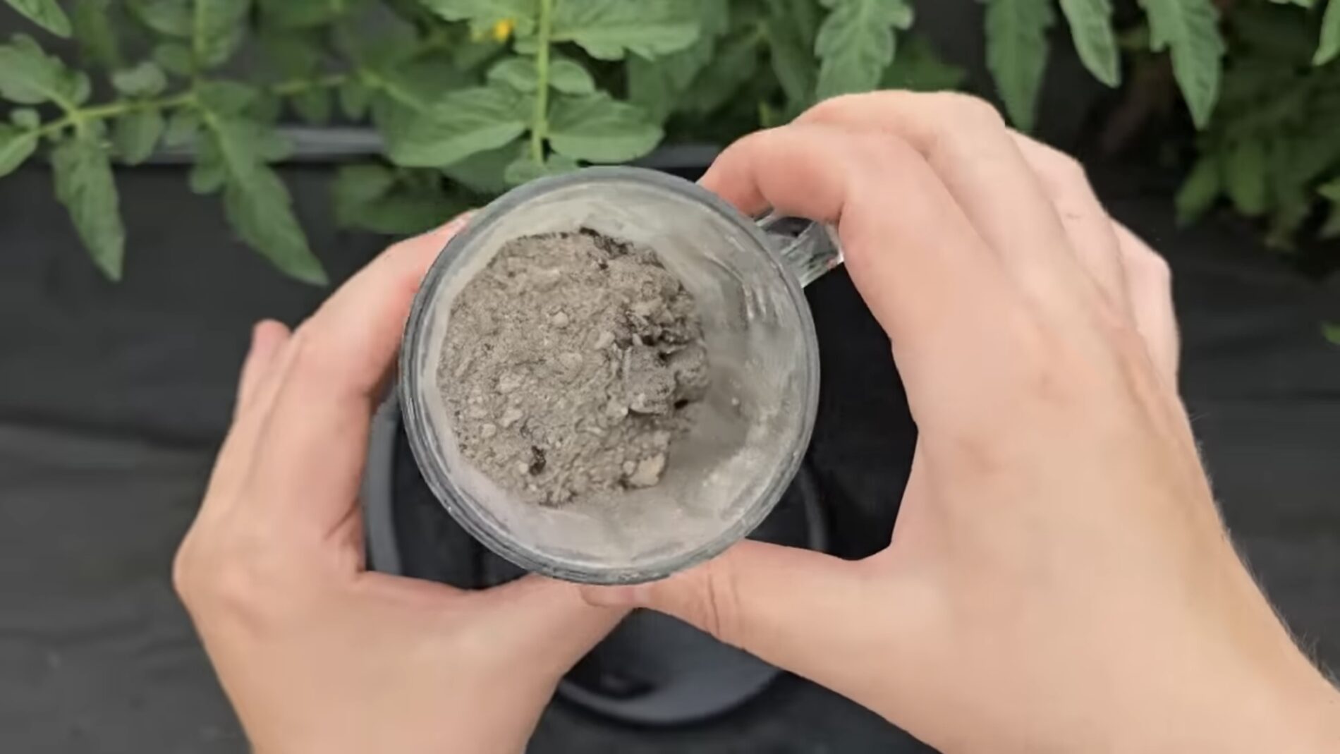 Городники розповіли, як підвищити ефективність золи в декілька разів