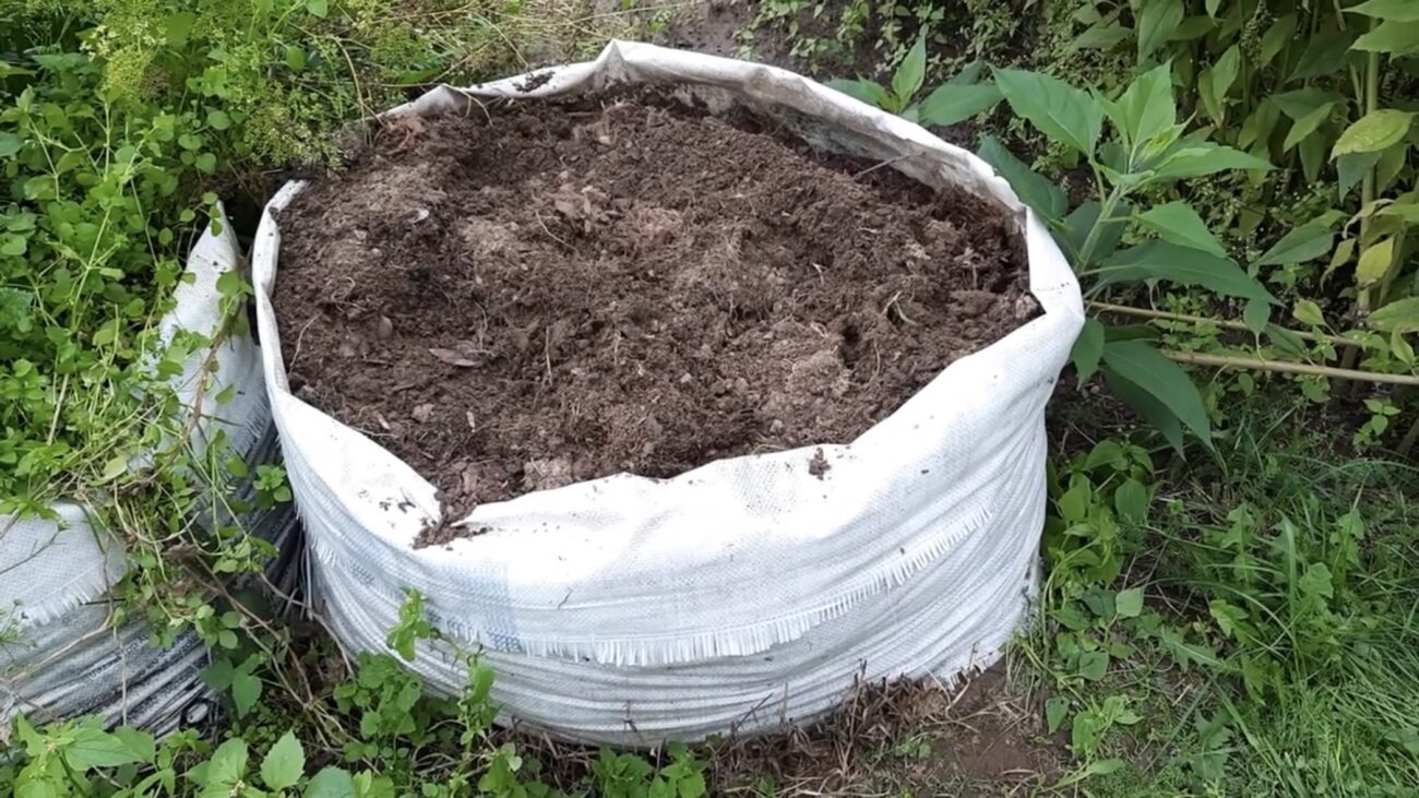 Городники розповіли, як за три місяці приготувати компост з бурʼянів Городники розповіли, як за три місяці приготувати компост з бурʼянів