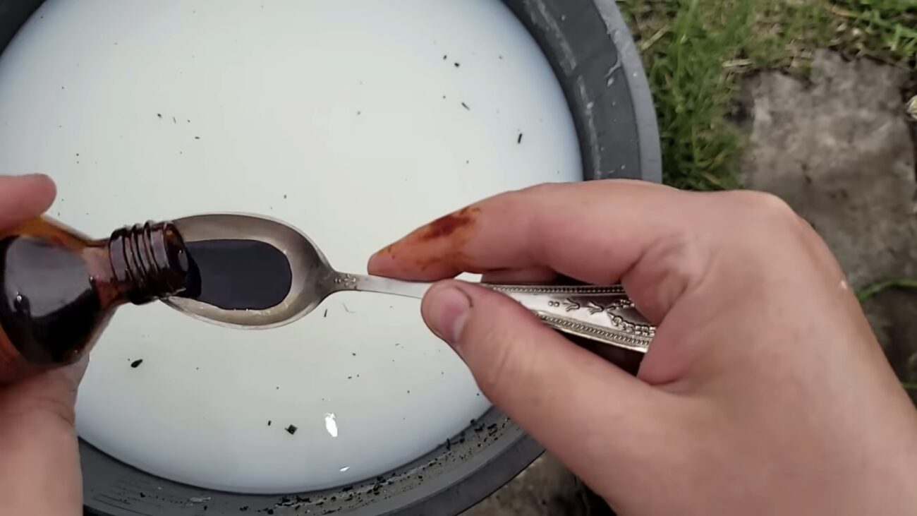 Городники розповіли, чим підживити томати для збільшення врожаю 