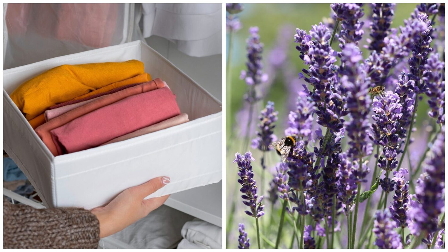 Господині розповіли, як прибрати вологість у шафі