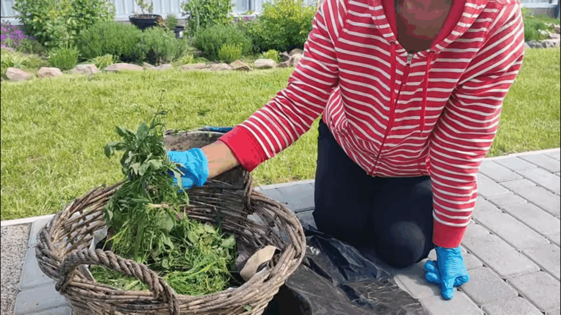 Городники показали, як приготувати поживний компост з бурʼянів 