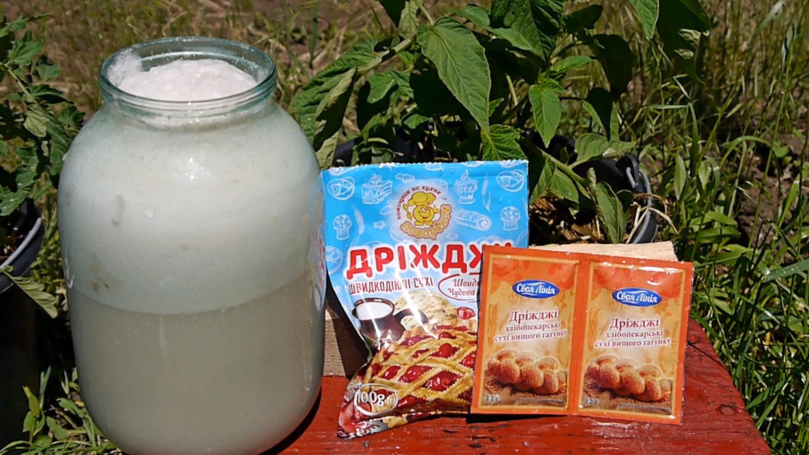 Фермери назвали найкращі підживки для кабачків