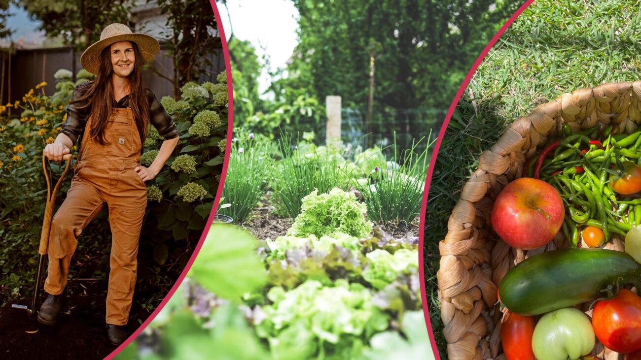 Дачник розповів про 4 причини низької врожайності на городі