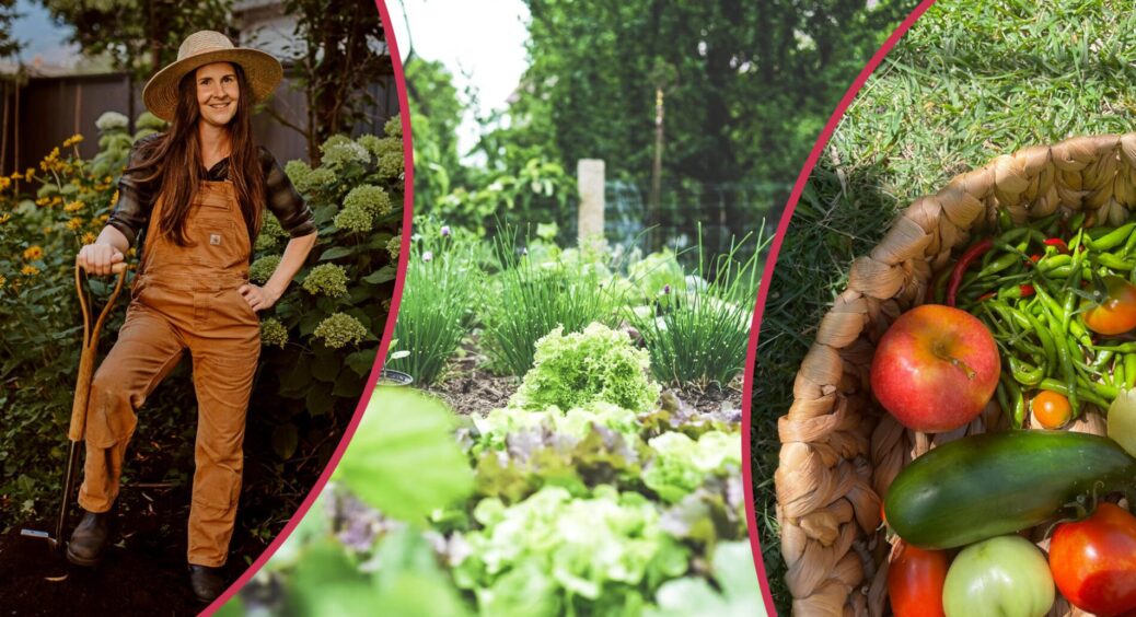 У мене чомусь зовсім не ріс город: запитала у сусіда з “джунглями”, він вказав на 4 причини поганого врожаю 