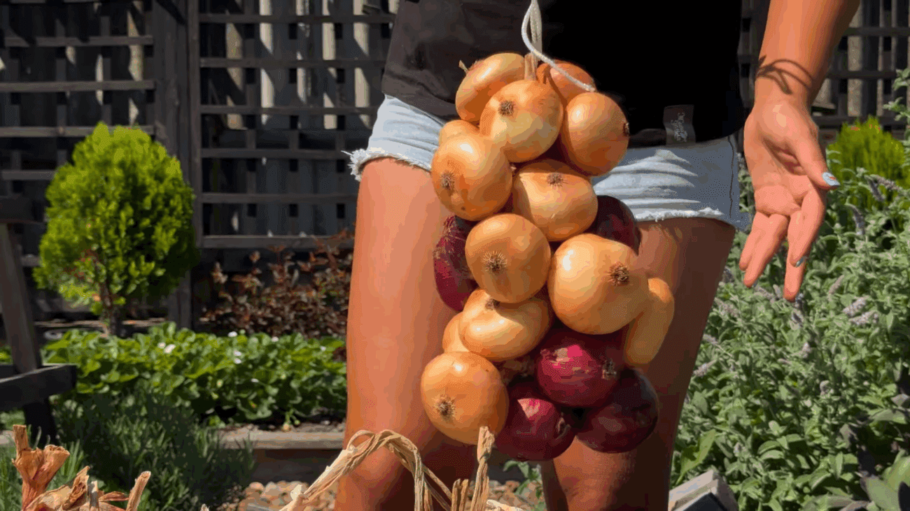 Експерти розповіли про три прості техніки плетіння цибулевої коси