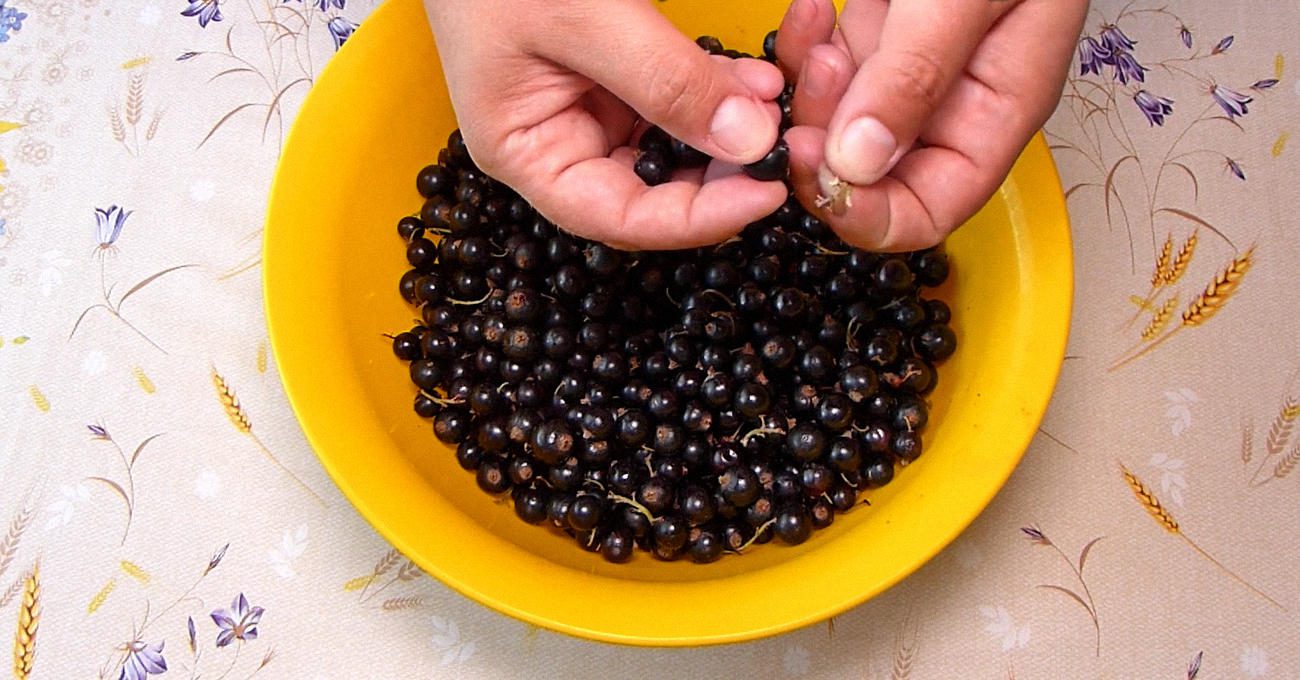 Господині назвали 3 найкращі способи заморожування смородини