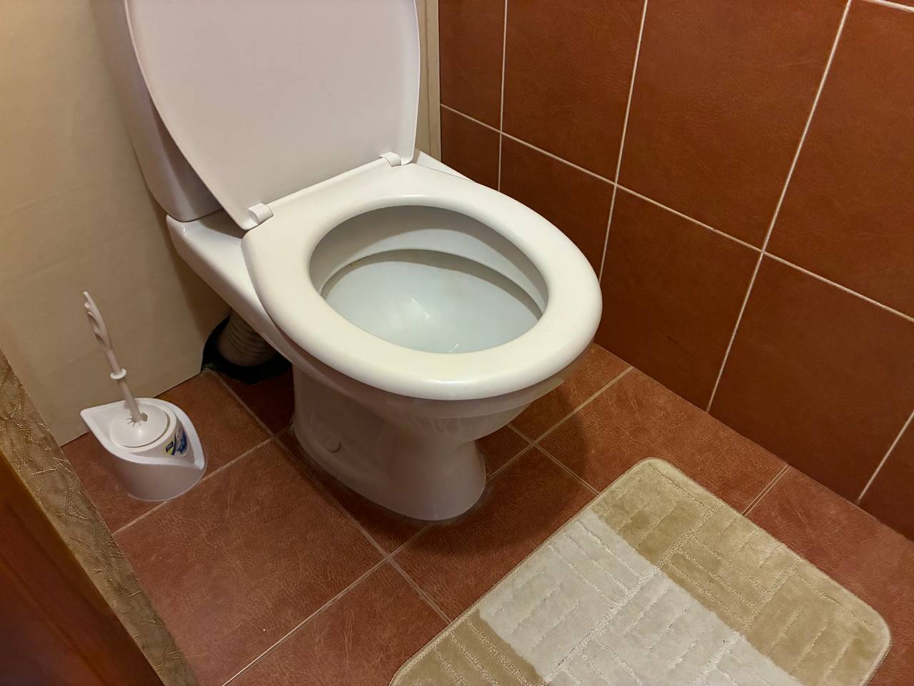 Господині розповіли, як позбутися неприємного запаху з унітазу без хімії