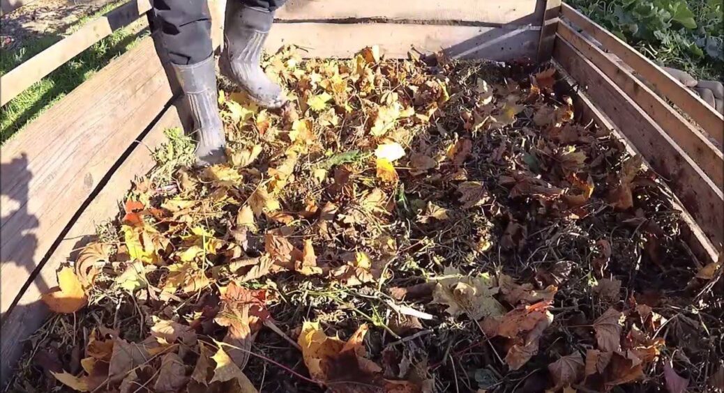 У жовтні роблю “це” з компостом, і вдвічі збільшую його поживність: 3 дії, як перетворити рештки на “золото” 