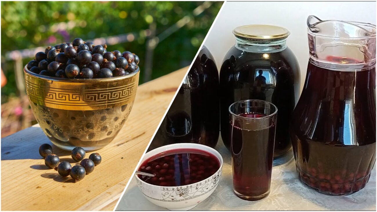 Господині розповіли, як приготувати компот із чорної смородини з м'ятою