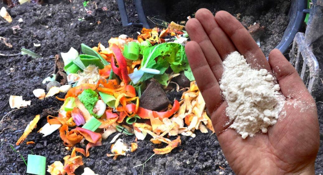 Не викидаю овочеві рештки – складаю в чорний мішок шарами: за 30 днів готовий компост для розсади вдома 