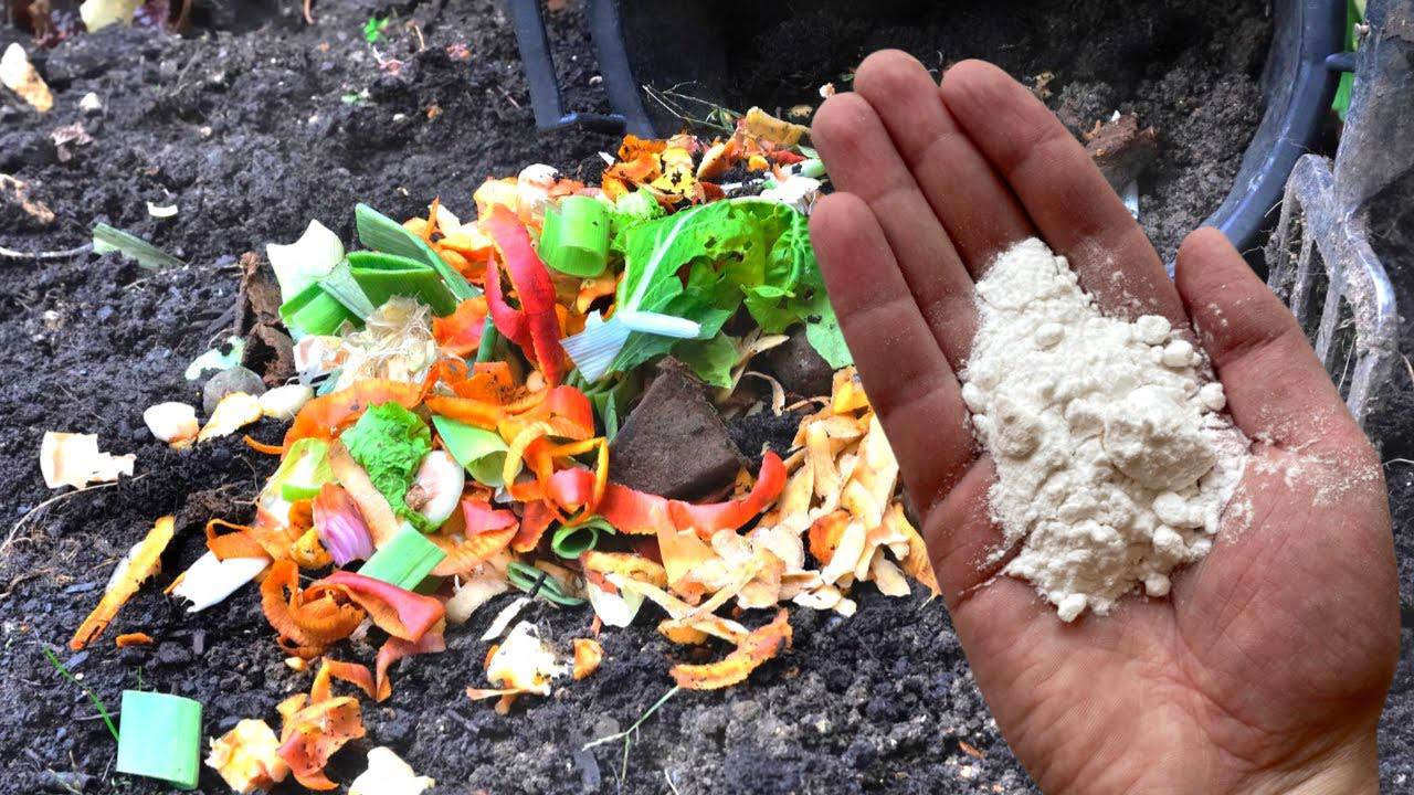 Експерти розповіли, як зробити корисний компост із кухонних відходів 