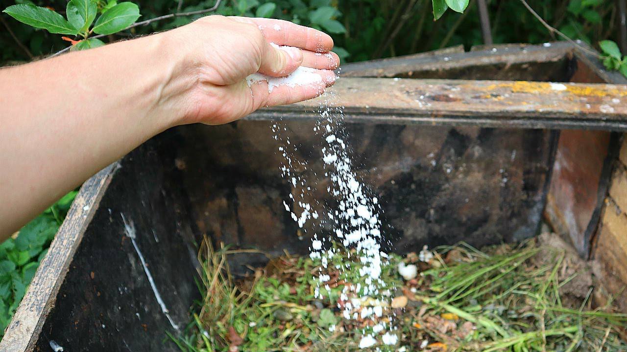 Садівники пояснили, як вчинити з падалицею яблук
