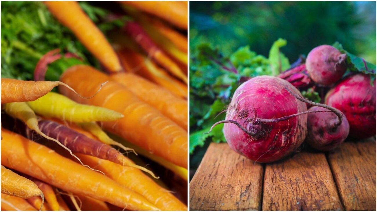 Агрономи назвали точні терміни для збирання урожаю моркви та буряків
