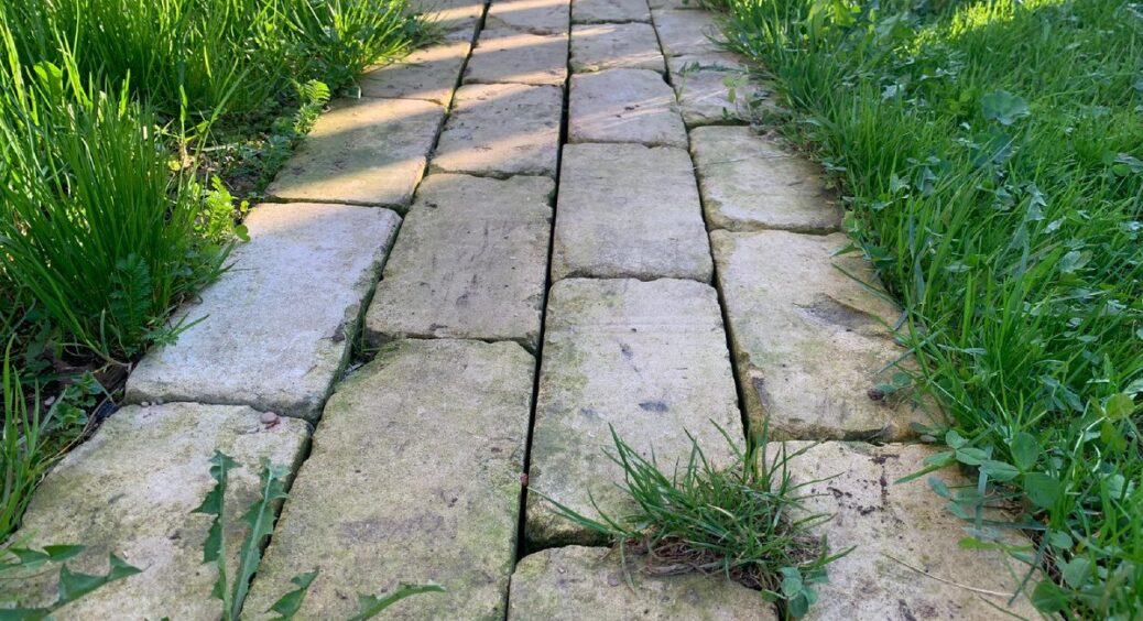 2 ложки солі + 1 ложка цього на літр води – і трава між плитками “відходить у небуття” за 2 дні без хімії 